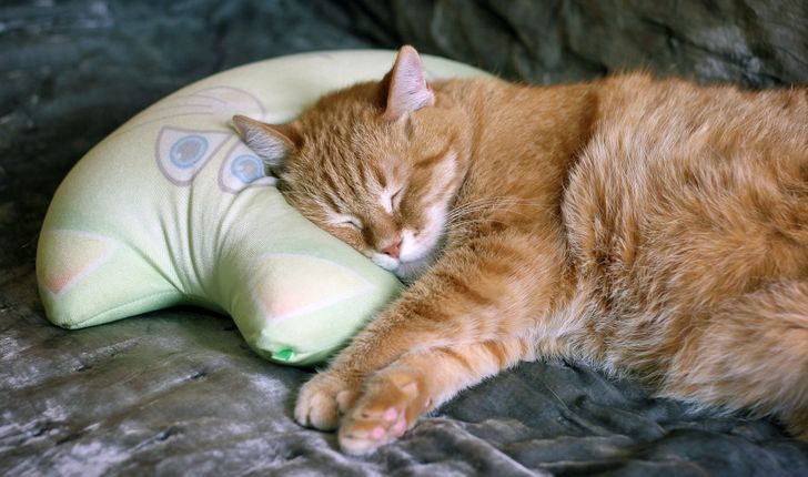 9c8aab512d9ee7890acd80abb3