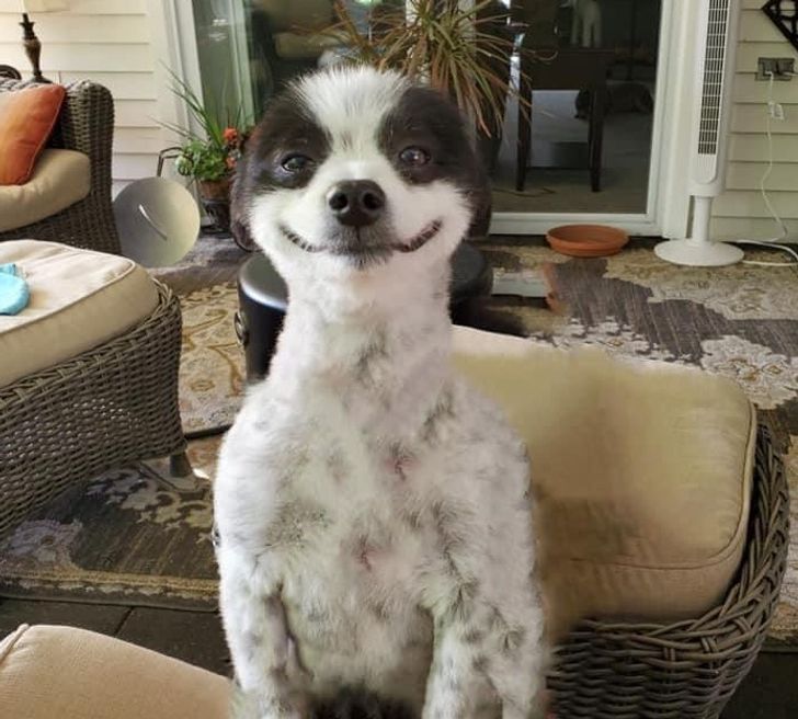 9c8b235408ac388b663076a8ad