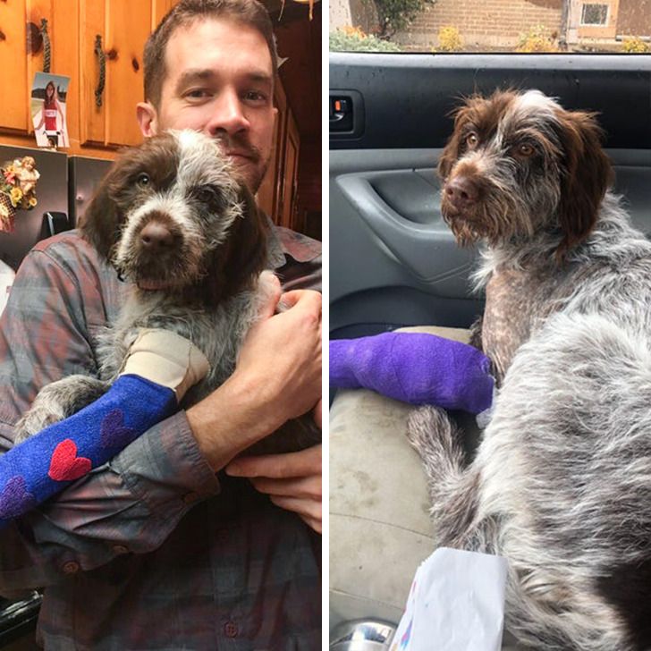 9c8bc45e1abea84442f60498c6