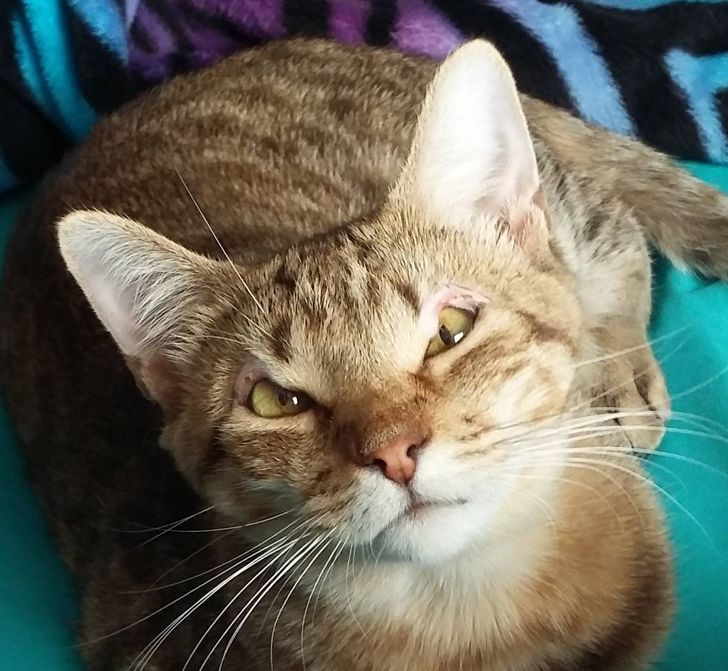 9c8f38524ebcd18aa16774f1b0 9c8f38524ebcd18aa16774f1b0