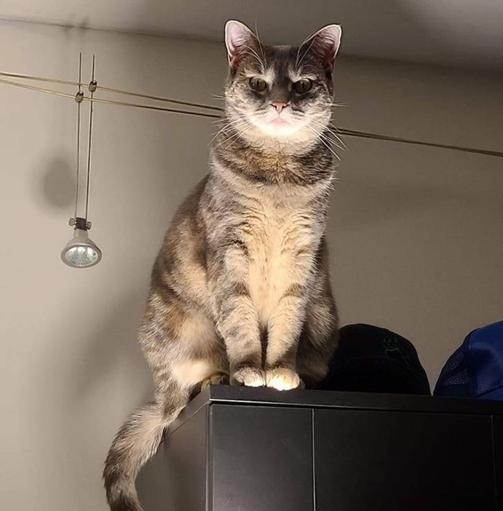 9c976f5088b5046bb74f0bc520