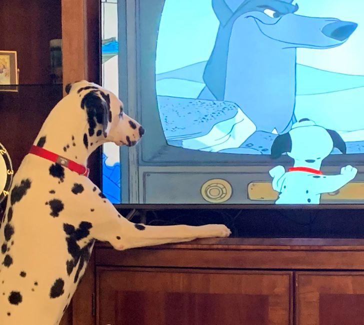 9c983b5436966ee912589fda07