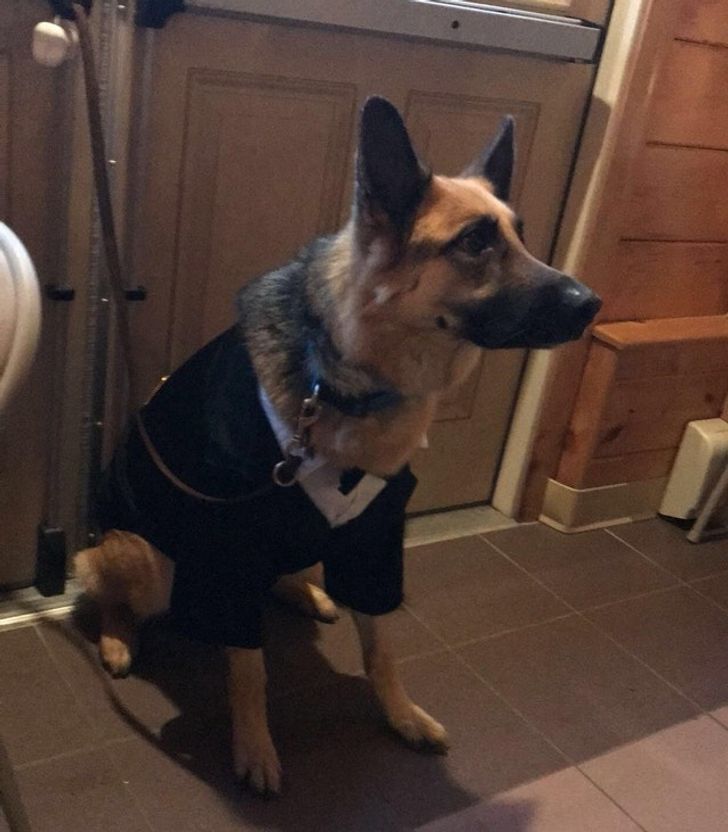 9cab5d552eb44b30ea3854030f