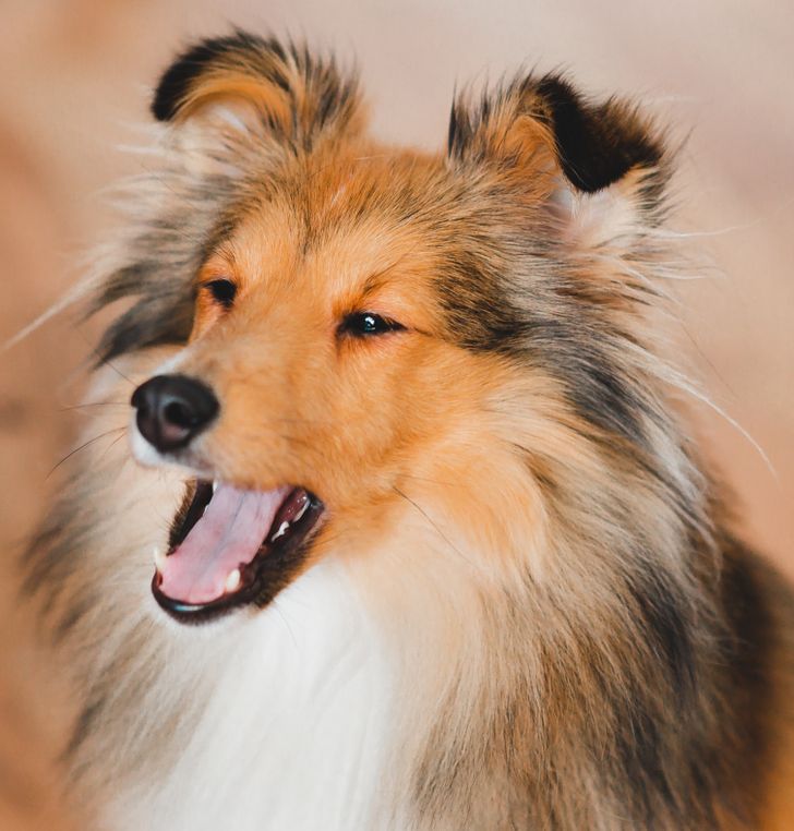 9cabae5b72b510a14efb3ac8bf