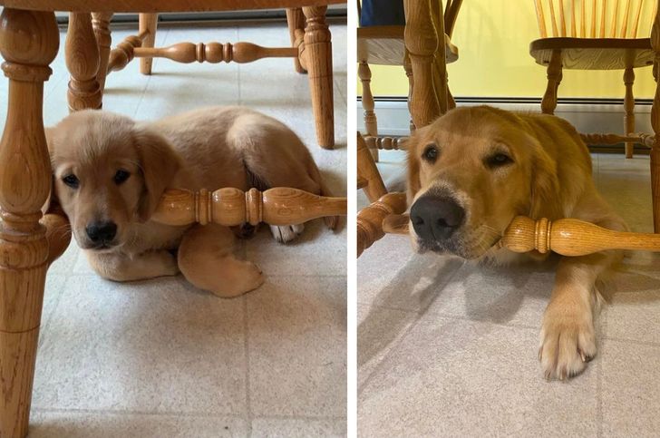 9cadb3502ca261d3c249b16de9