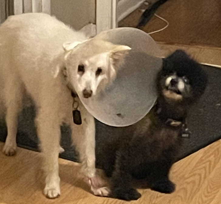 9cbf675382a94e40ffc5a22976