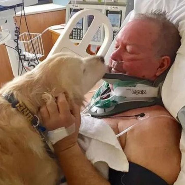 9cca0b537f875865eec807a0a1