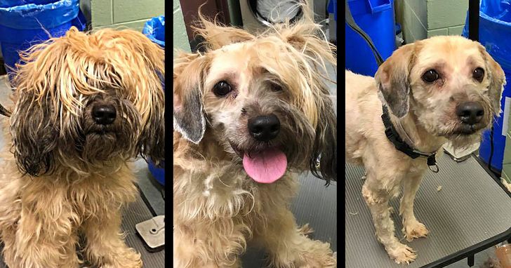 9cd5705c90bfabada5c1044db9