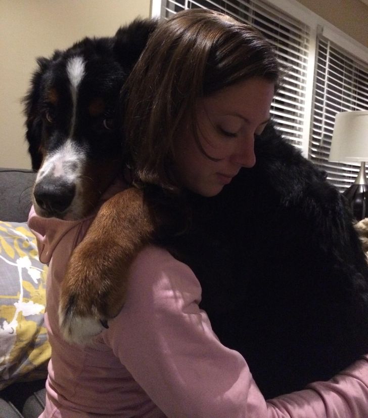 9cd5d35ecb93852b1a49d6d322