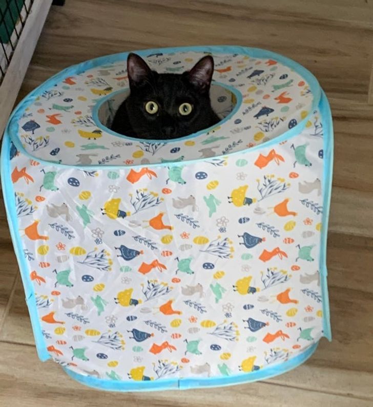 9cd78d53f0a49b761bf7350b93