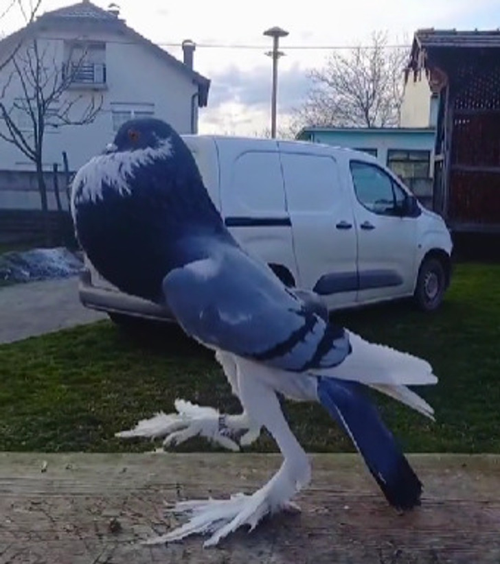 9cd80159ce910a3c5c84f9cc67