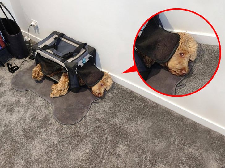 9cdc415596b9abcfc32490f813