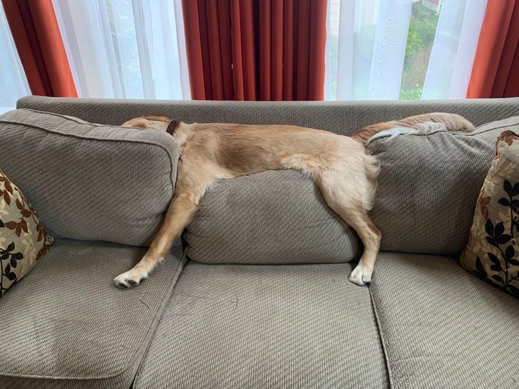 9ce12d589cb9beee8d1ff61f94