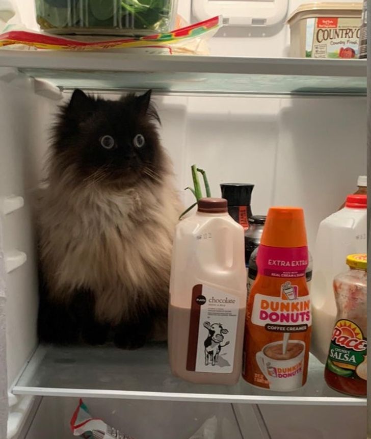 9ce19e55e29240aaa5879d1200