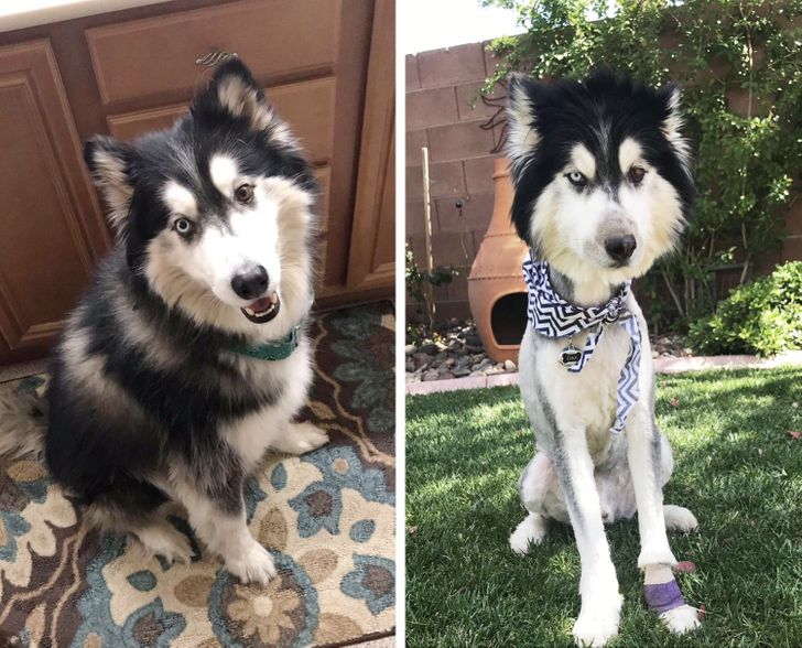 9ce4f559f485113d2b57727453