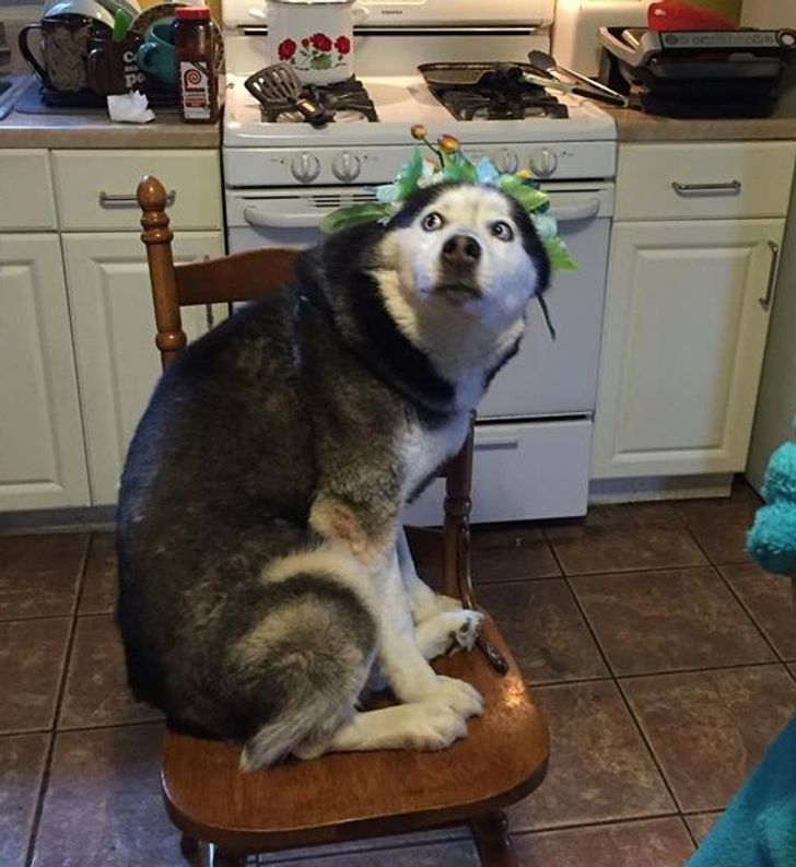 9ceb5d51298ae84dea8f1ae680