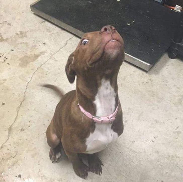 9cedd35bd4b09c1cd422fa34d3