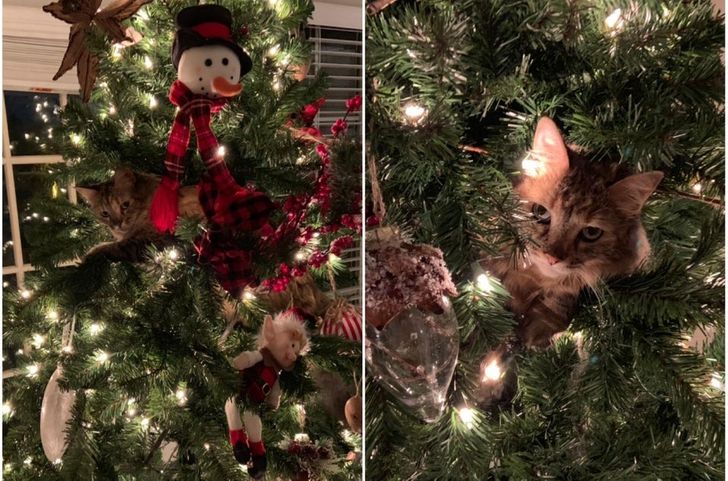 9cee8b5c5c95eb70fe83e191c6