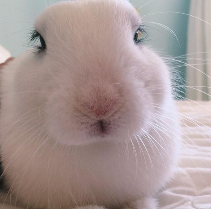 9cf1fa583e81913d4650e92745