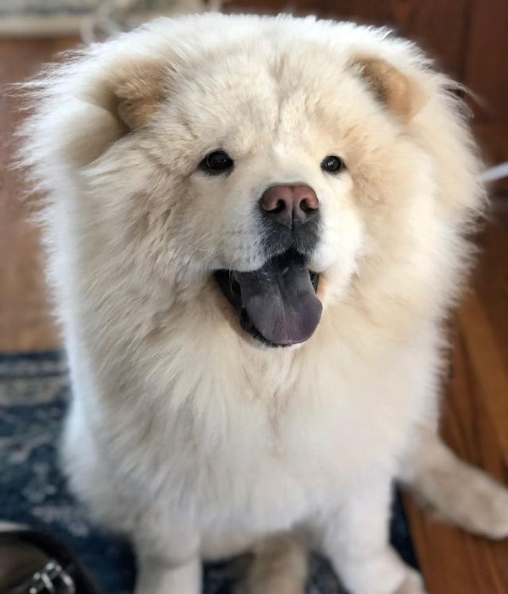 9cfd1e5ce8837705fd263fe6c0