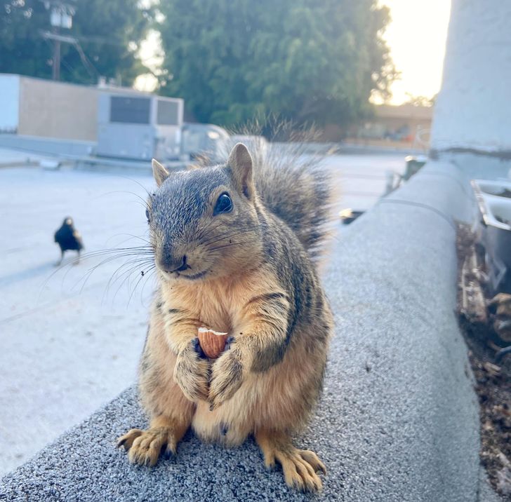 9d1b3c5e78a2897ae0485141f3