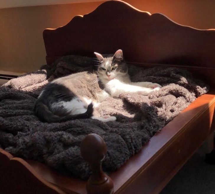 9d25985946a550c397bd4485db