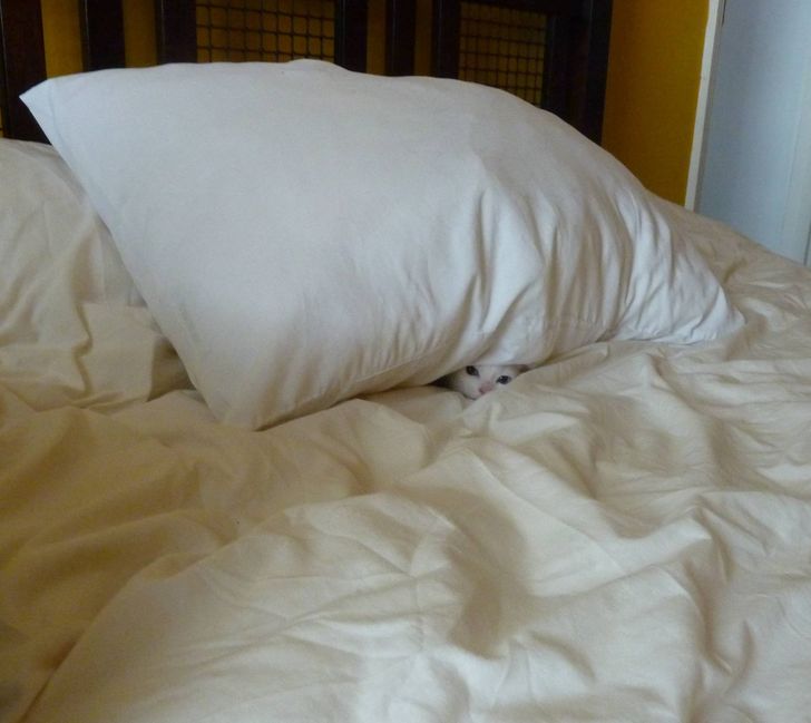 9d28ac5ee7b9f9d02e1988a552