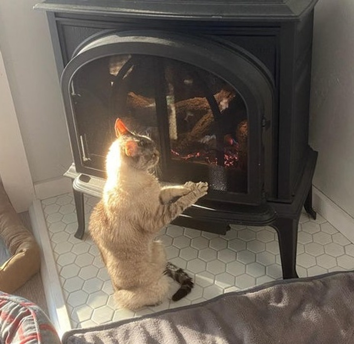 9d28d35b6ab975da7a64ab5cf2