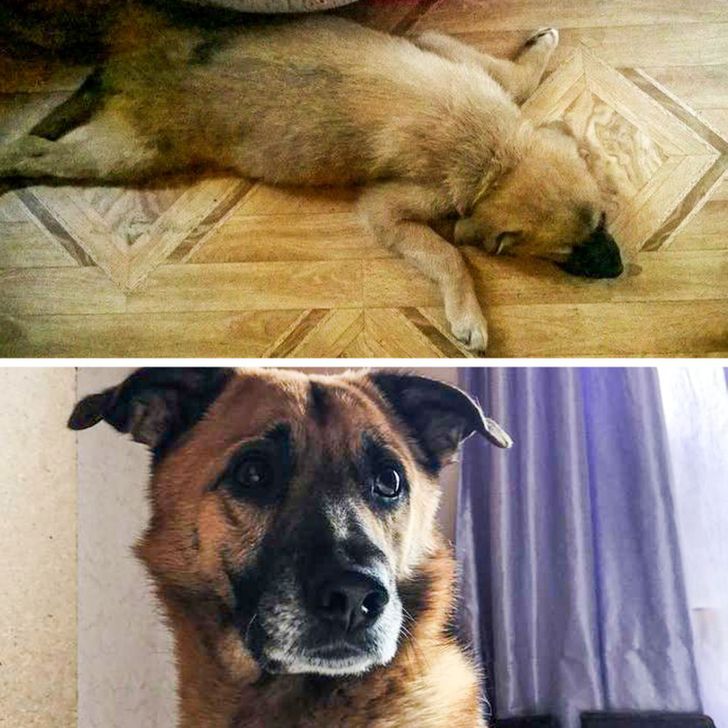 9d2a6a5bee8d145464ecc98739