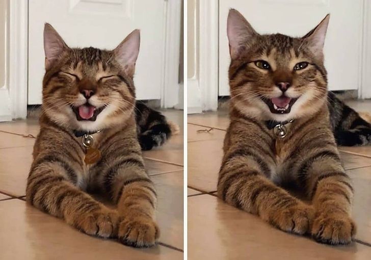 9d30305e9992bf57c568703119