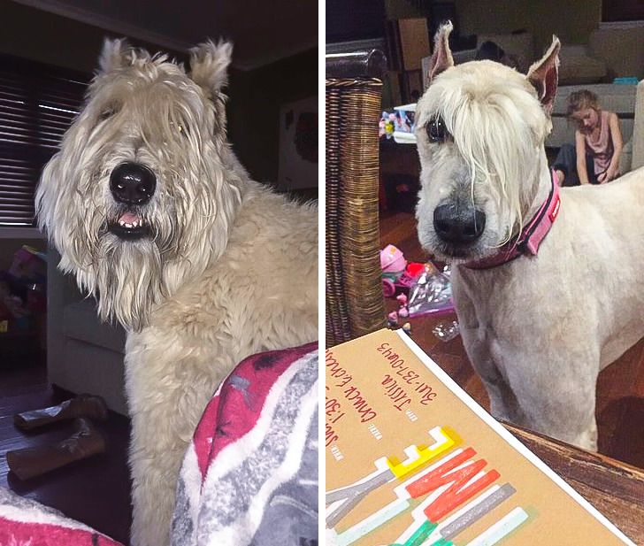 9d3e815e71bbaf7160cec5fb4c