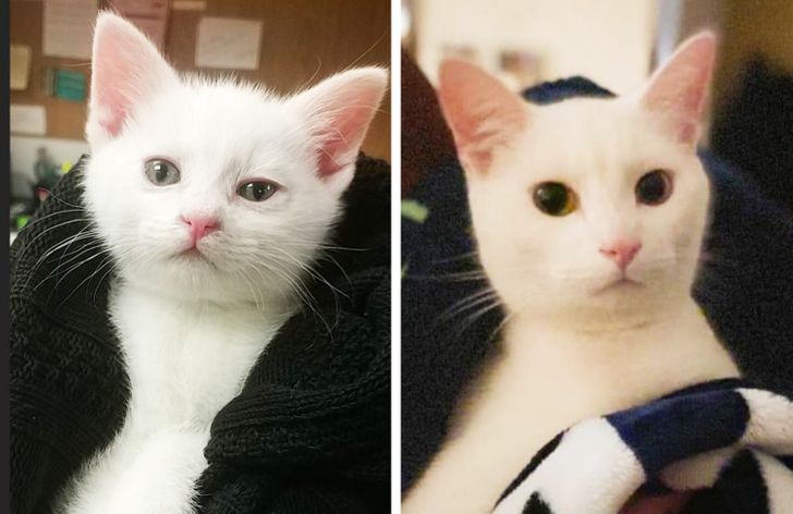 9d473d5c10b8c3ff307b7c50de