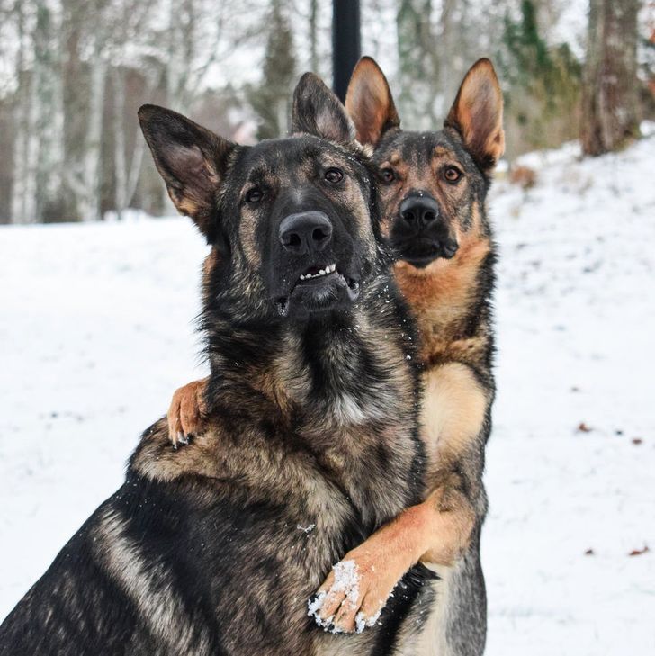 9d4daa58c680a17996901e8586