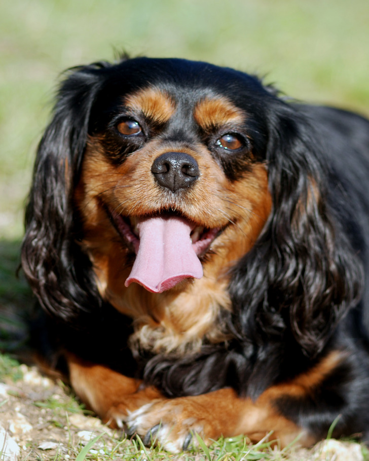 9d678952d8ba1272bba73bdcc9