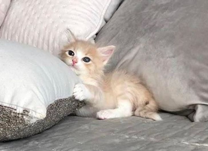 9d693354c6aca2c1371b10ecfc