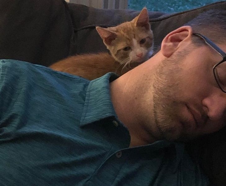 9d6a9e5058967543afabb59e24