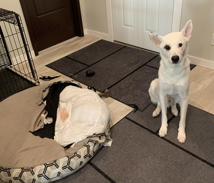 9d74b25ff7903a328321cc585b