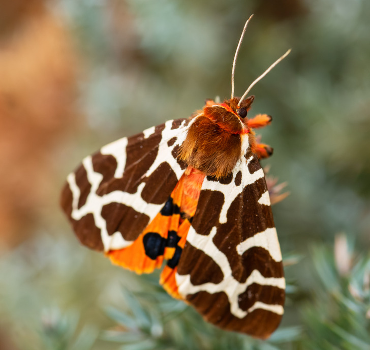 9d78e75d729f4d64c3136cb0e0