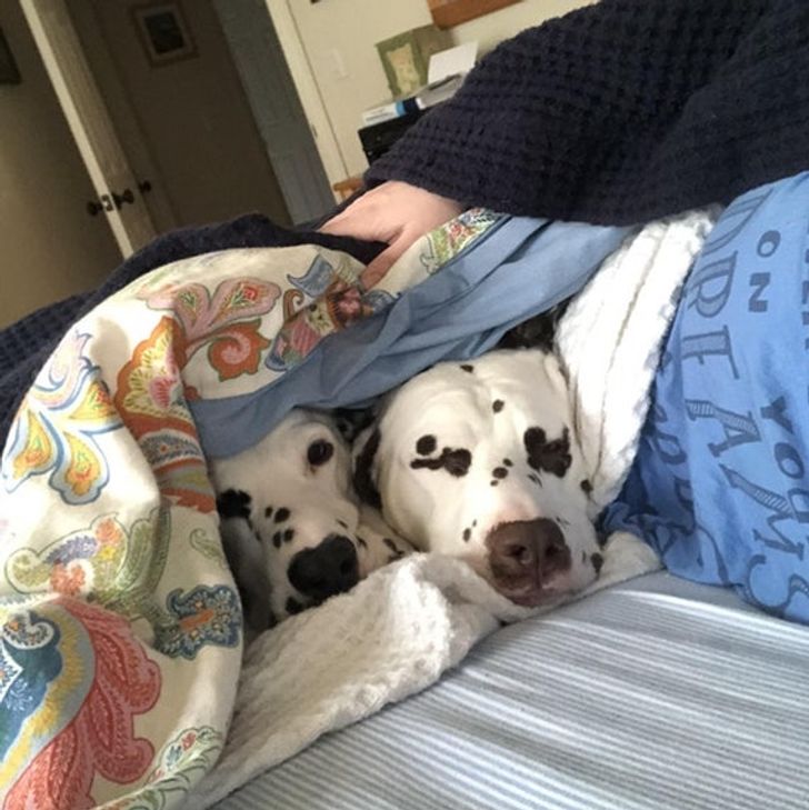 9d7eb95ce4a57c1ea9eb4ce436