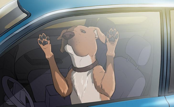 9d8cb3562cad5a107a8d17212f