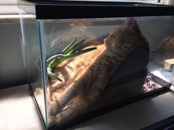 9d95d3523a988b75fcce957940