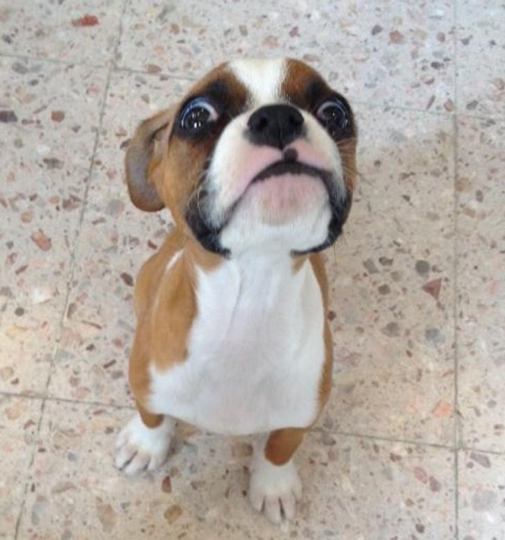 9d96c6562ab7f5362cb1d20275