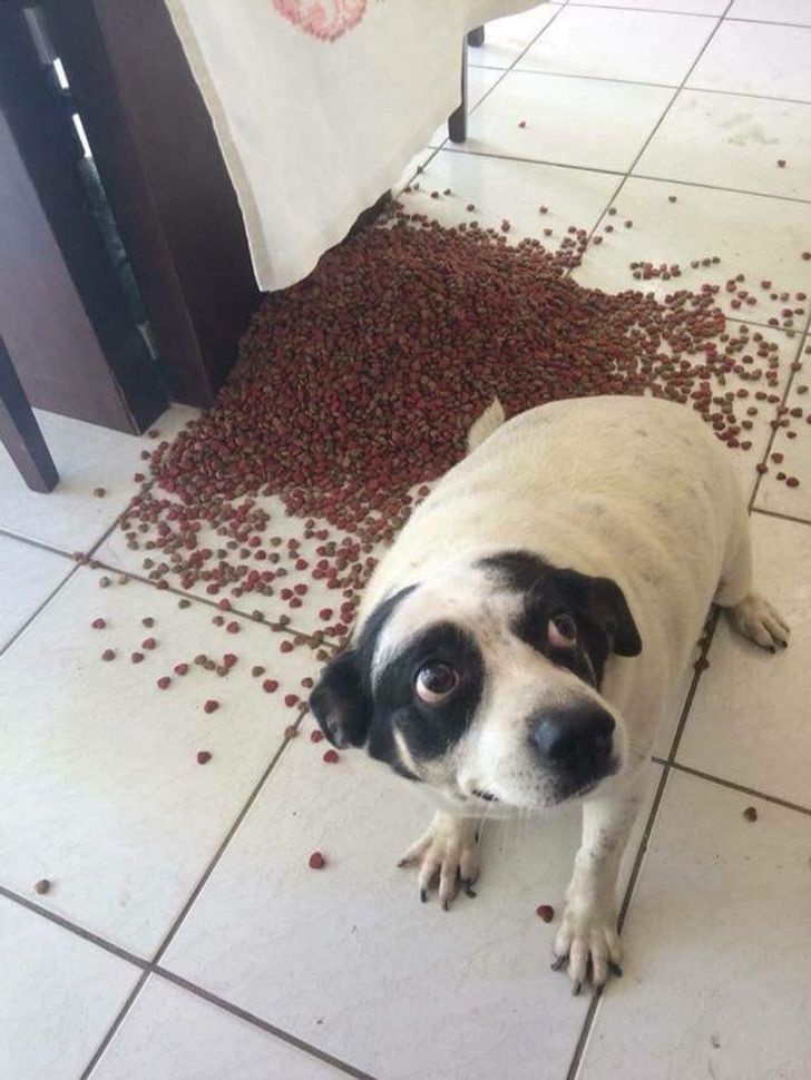 9d98925a7ead0a21b7ffd82eee