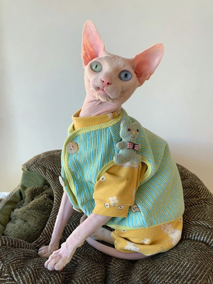 9d99925d7889b68bd31c5aa010