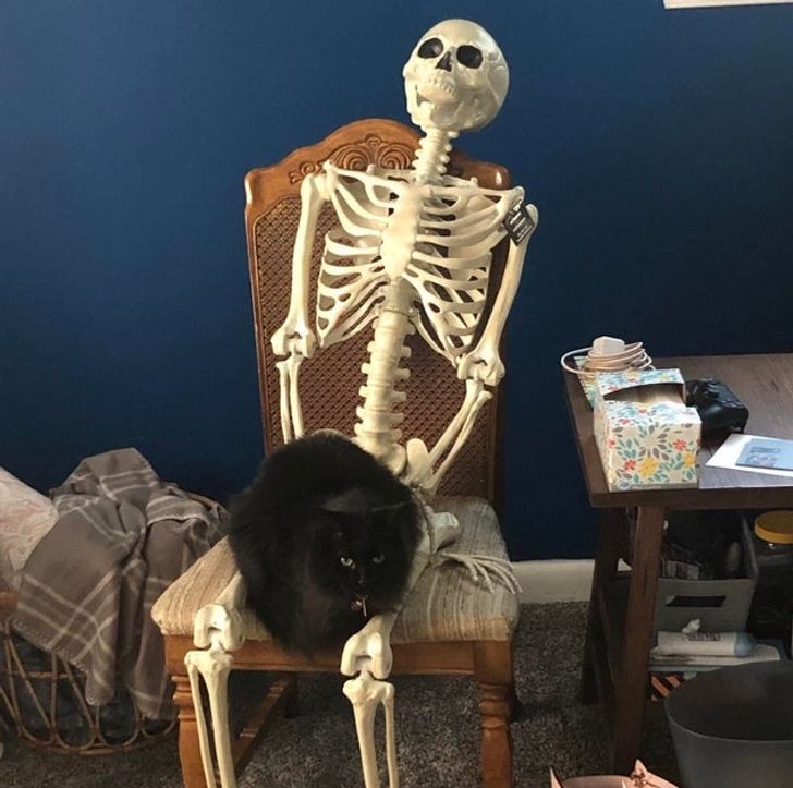 9da20550dab54e391ffd5a8a5b