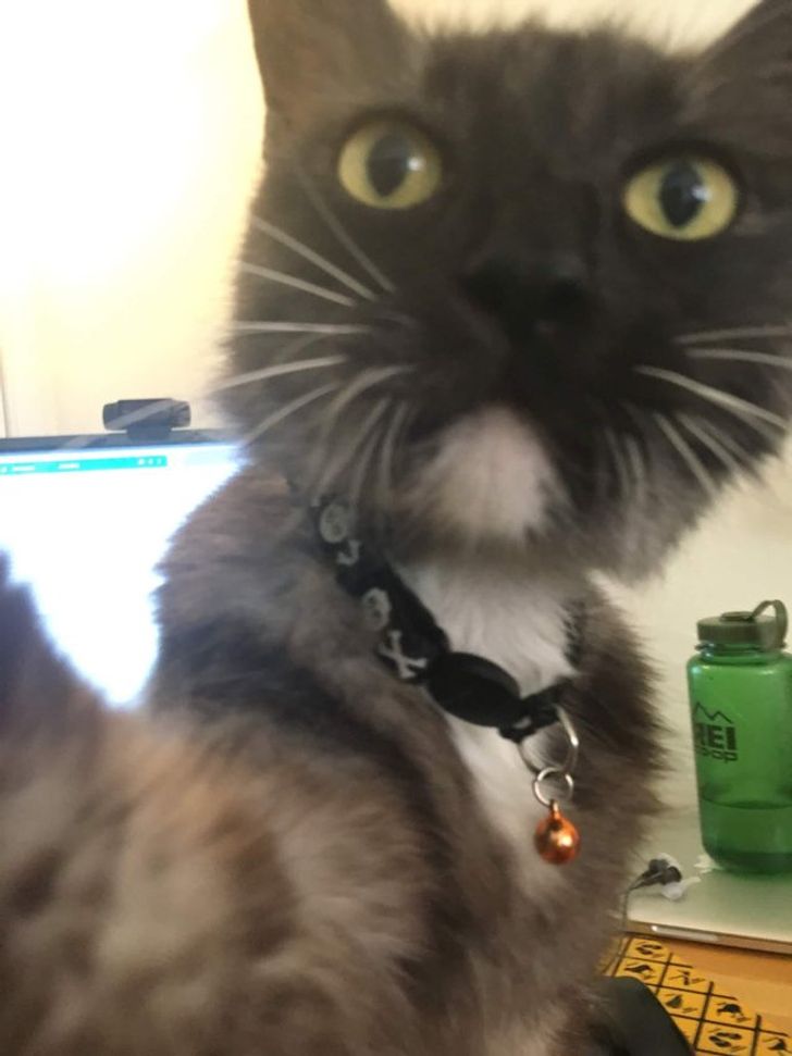 9da4f25a65b648c2819a665db4