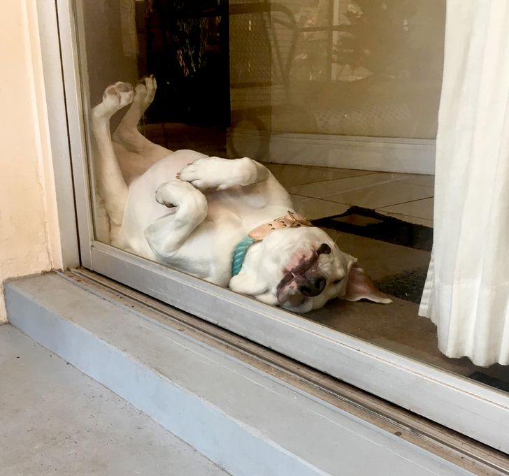 9da6045f6690944b593edefcad