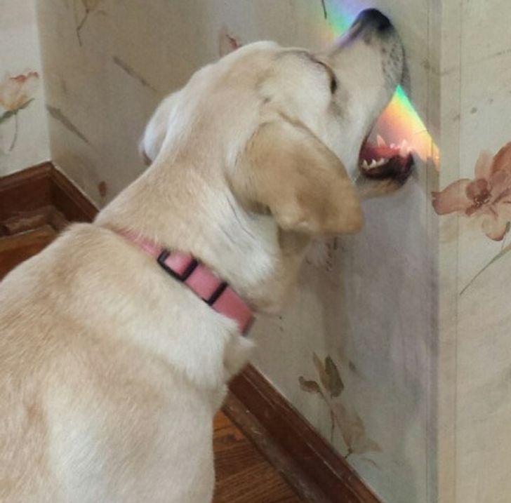 9daa975be58593ee8cb92f4575