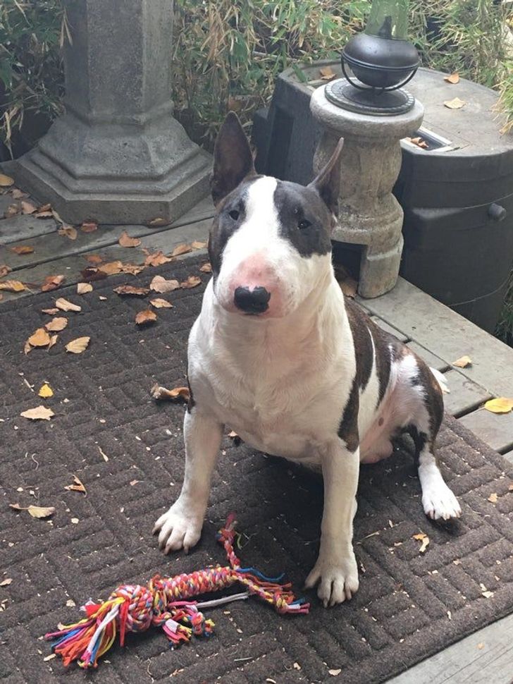 9db0bf5de3b934ee56ca3aedc2