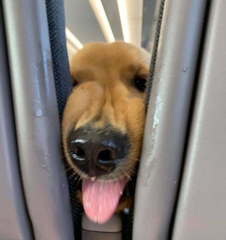 9dbef65aa69cdffe3c828ab4d0